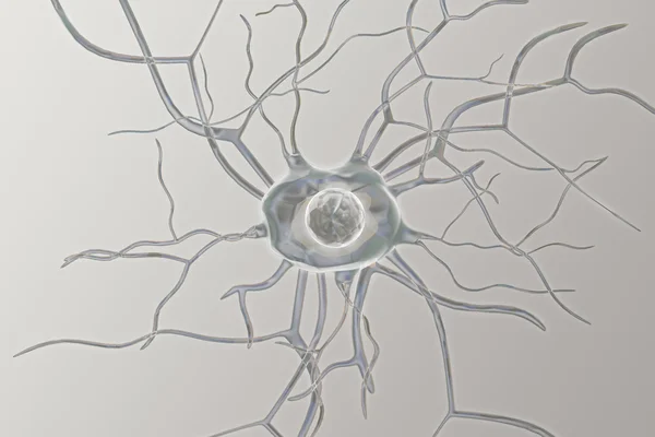 Нервові клітини — стокове фото
