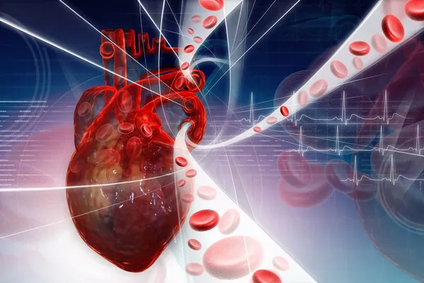 Human heart — Stock Photo, Image