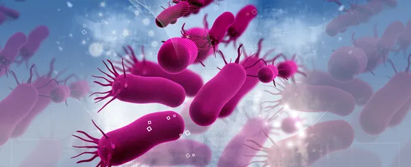 Bakteriler — Stok fotoğraf