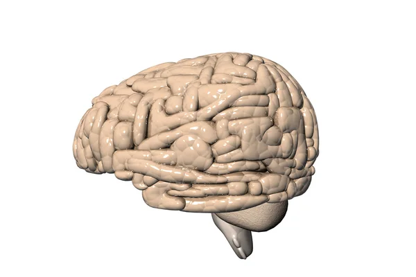 Мозг Абстрактном Фоне — стоковое фото