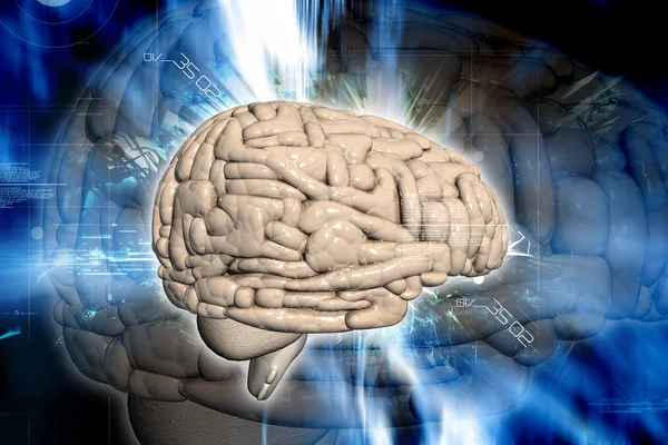 3D hjärnan — Stockfoto