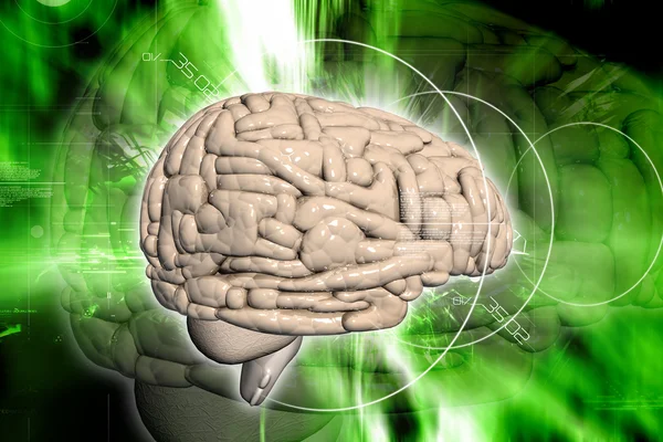 Brain Abstract Background — Stock Photo, Image