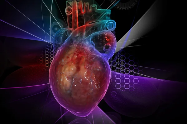 Coração Humano Com Ecg — Fotografia de Stock