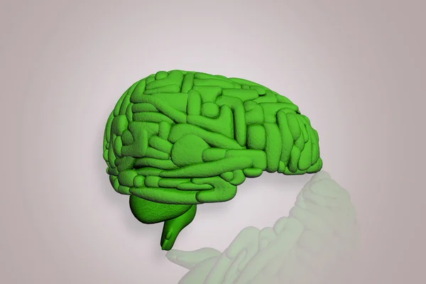 3D мозг — стоковое фото
