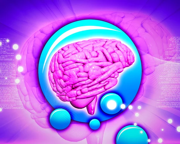 stock image Brain in abstract background
