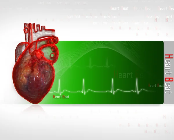 Coração Humano Com Ecg — Fotografia de Stock