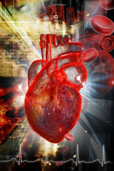 Corazón Humano Con Ecg — Foto de Stock