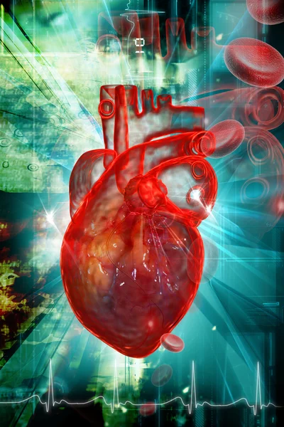 Coração humano com ECG — Fotografia de Stock