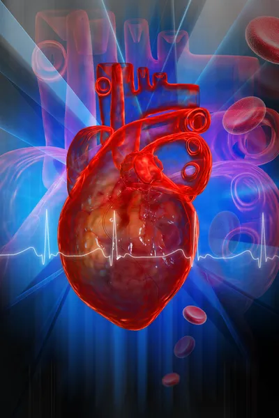 Human Heart Ecg — Stock Photo, Image