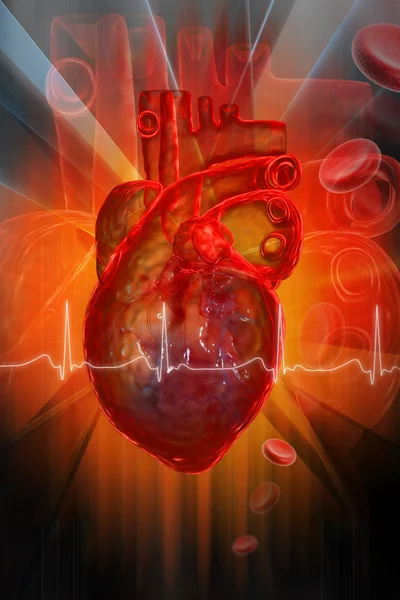 Corazón humano con ECG —  Fotos de Stock