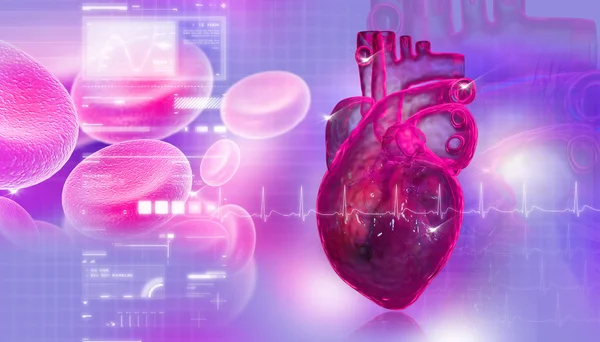 Coração Humano Com Células Sanguíneas — Fotografia de Stock