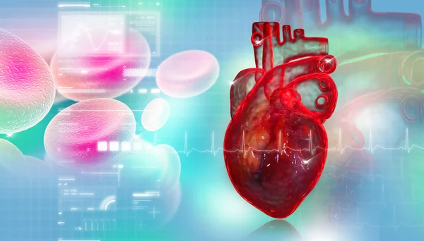 Mänskliga Hjärtat Med Blod Cell — Stockfoto