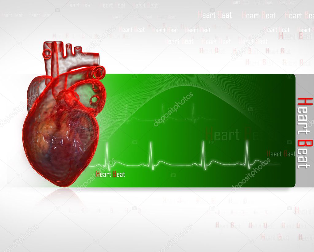 Human heart with ECG — Stock Photo © rbhavana #4537662