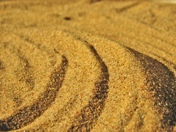 stock image Sand Dunes