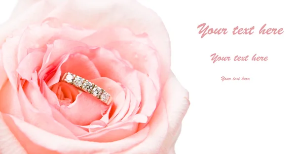 Золотое кольцо в красивой розе — стоковое фото