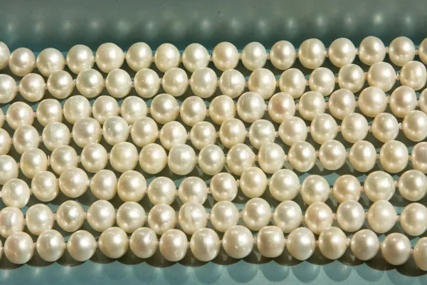 Pärlor — Stockfoto