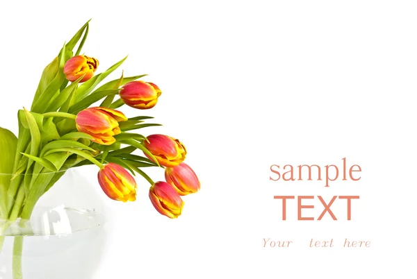 stock image Beautiful bouquet of tulips