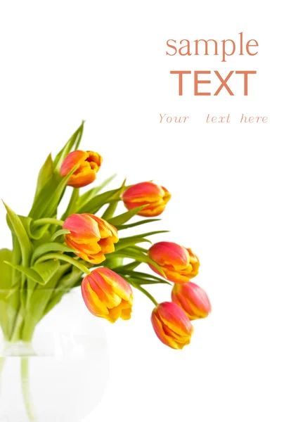 stock image Beautiful bouquet of tulips