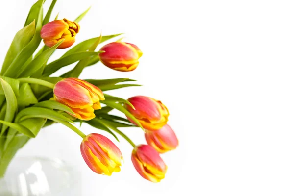 Schöner Strauß Tulpen — Stockfoto