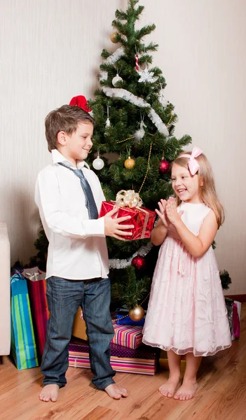 Jongen en meisje in de buurt van een fir-boom — Stockfoto