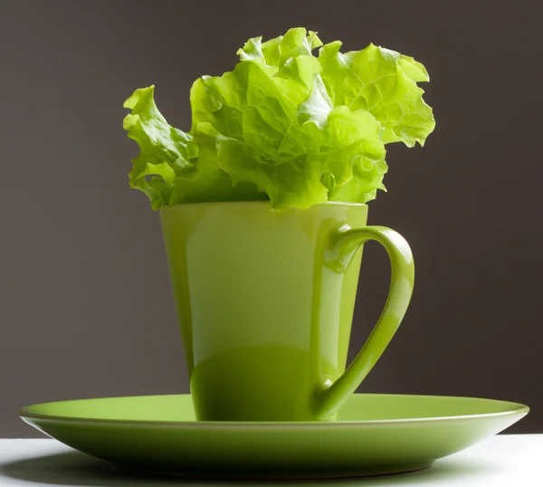 stock image Green lettuce in a mug