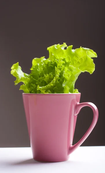 stock image Green lettuce in a mug