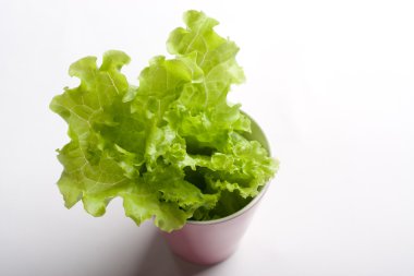 bir kupa yeşil salata