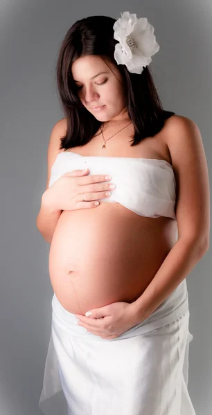 Schöne Schwangere Frau Fleck Auf Grauem Hintergrund Nahaufnahme — Stockfoto