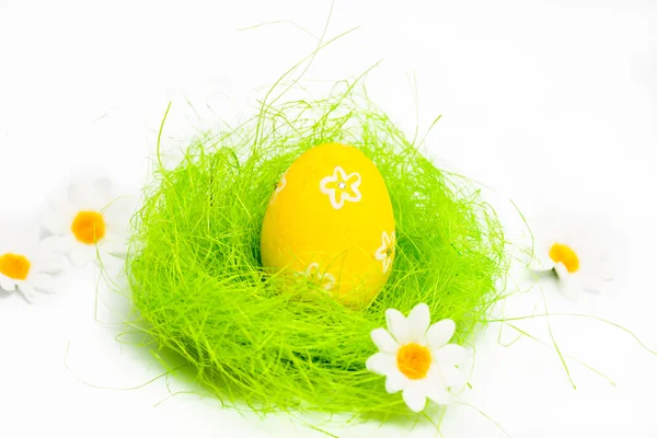 Huevos de Pascua en un nido —  Fotos de Stock