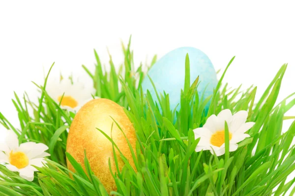 Easter Eggs Green Grass White Background — Stock Photo, Image