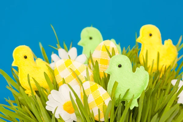 Easter ducks — Stock Photo, Image