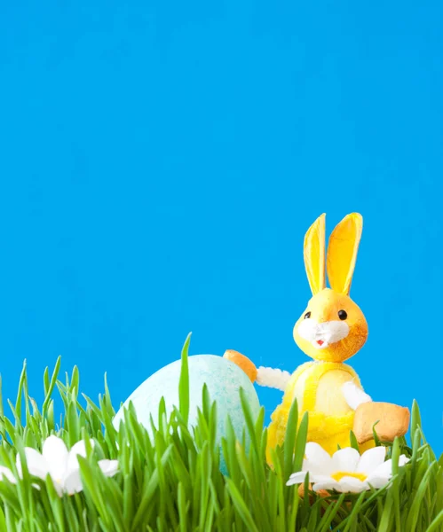 An easter rabbit — Stock Photo, Image