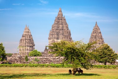 Hindu temple Prambanan clipart