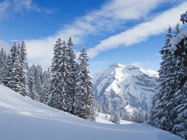 Winter in alps clipart