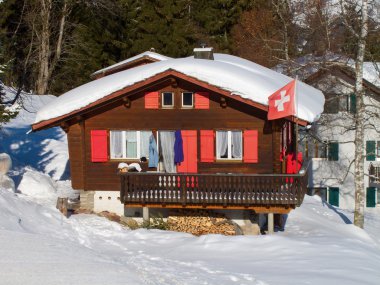 Kış tatil evi