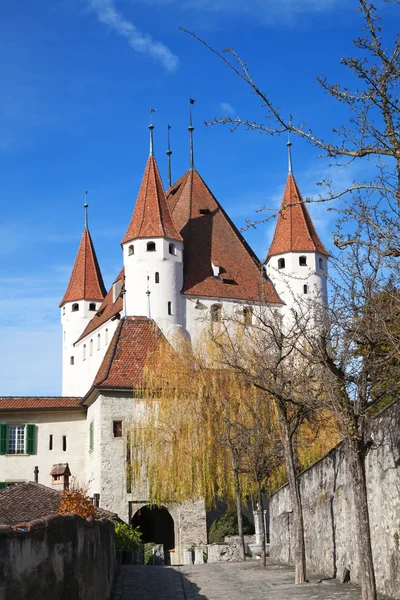Thun castle — Stock Photo, Image