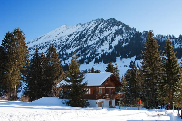 stock image Winter in alps