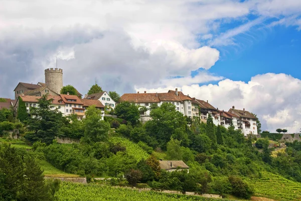 Regensberg castle — Stock Photo, Image