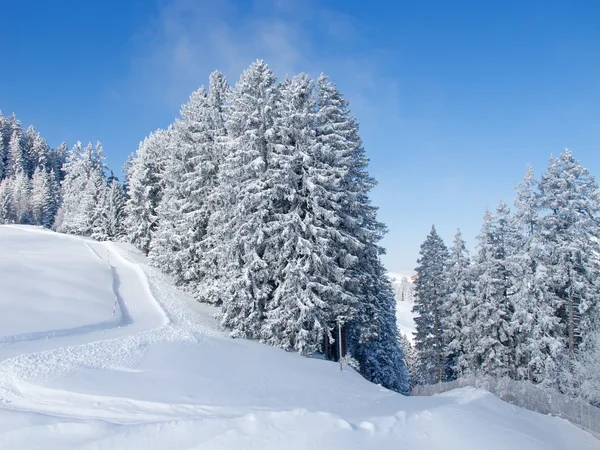 Zima v Alpách — Stock fotografie