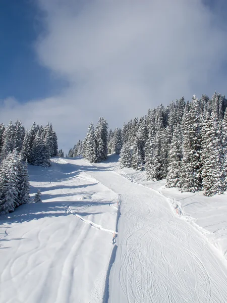 Pente de ski — Photo