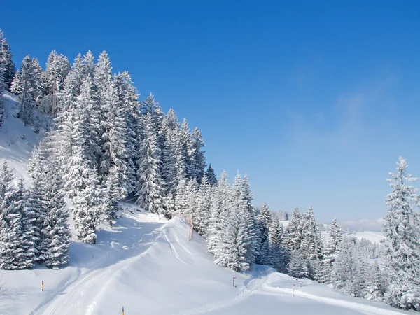 Vinter i Alperna — Stockfoto