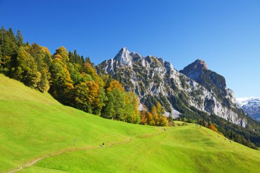 Autumn (indian summer) in swiss alps clipart