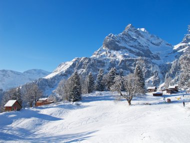 Typical swiss winter season landscape. January 2011, Switzerland. clipart