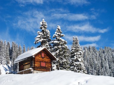 Winter holiday house in swiss alps clipart