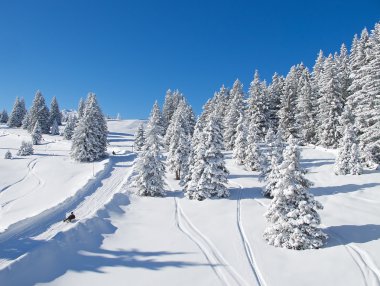 (flumserberg, st.gallen, İsviçre İsviçre Alpleri'nde kış)