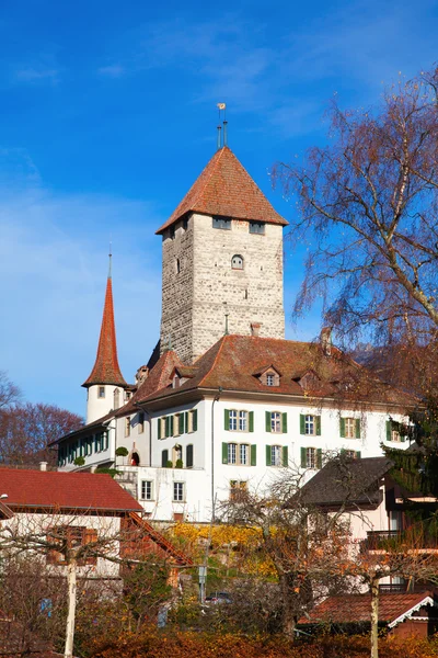 Schloss Spiez — Stockfoto