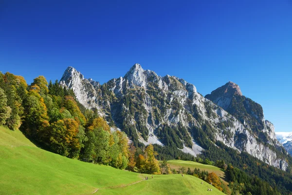 Otoño Verano Indio Los Alpes Suizos —  Fotos de Stock