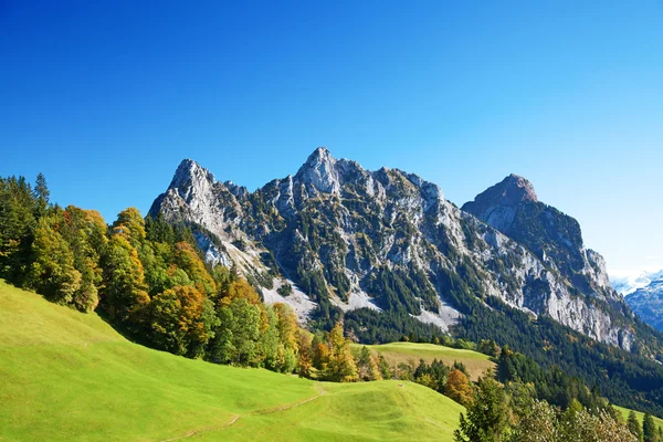 Ősz Indiai Nyár Svájci Alpokban — Stock Fotó