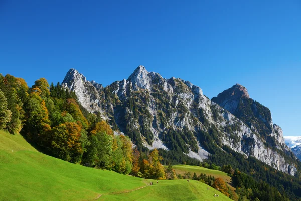 İsviçre Alpleri'nde sonbahar — Stok fotoğraf