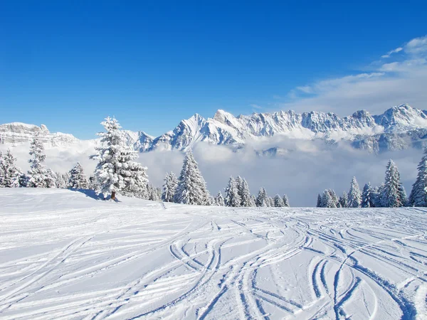 Κλίση Στο Χιονοδρομικό Κέντρο Flumserberg Ελβετία — Φωτογραφία Αρχείου